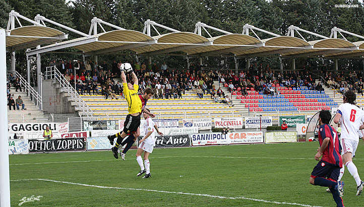 Grillo para