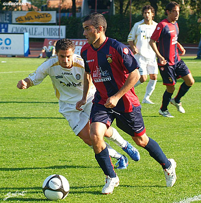 Zacchei
