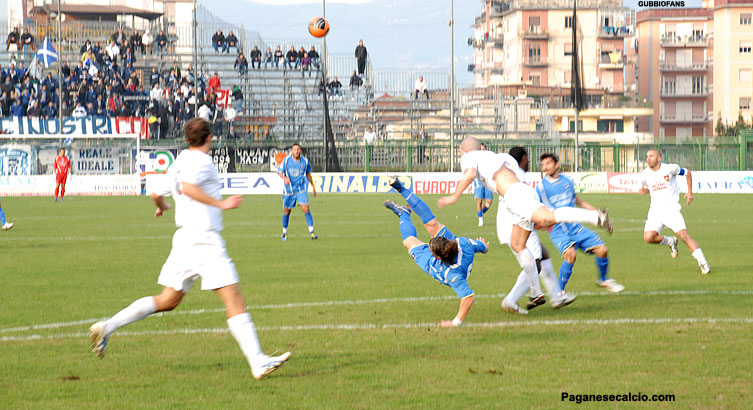 Magliocco e Borghese