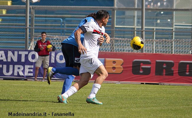 Caccavallo in azione