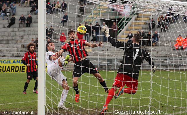 Luciani, Forte, Iannarilli