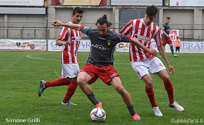 Bartoccini e Gorini