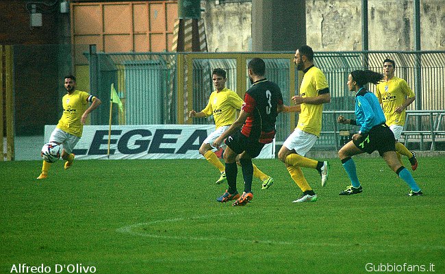 Petti e arbitro