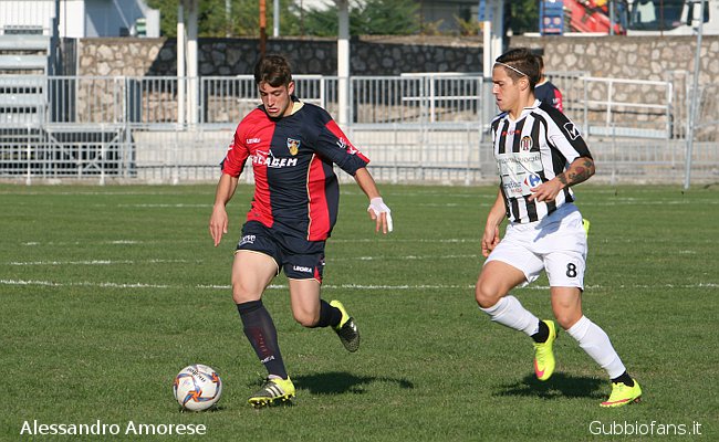 Barbacci e Rosaia
