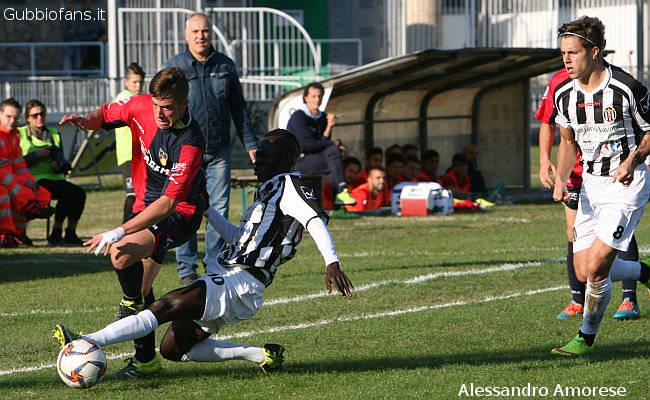 Barbacci e Diouf