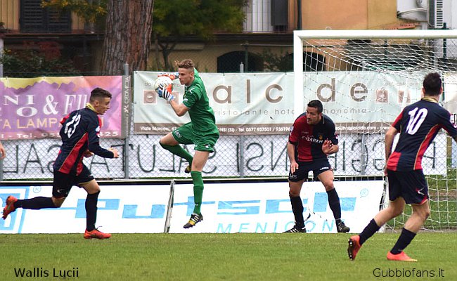 Volpe in uscita
