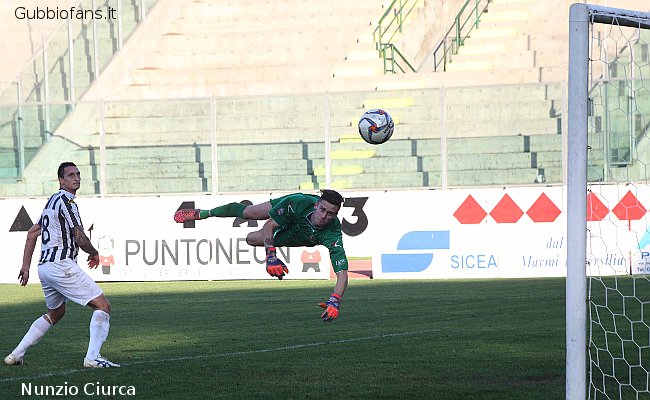 Volpe, volo