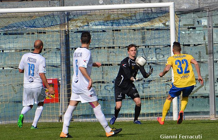 Cognigni e Volpe