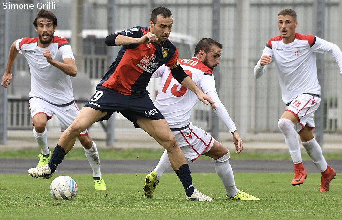Marchi e Petti